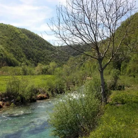 In Croatia Near Adriatic Coast *