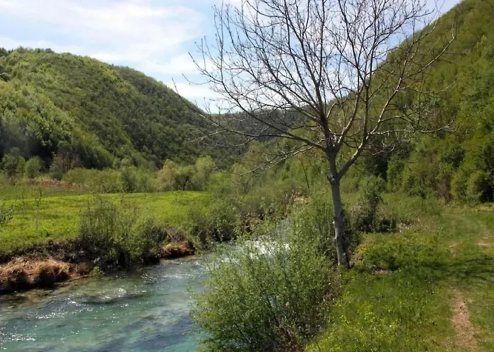 In Croatia Near Adriatic Coast *